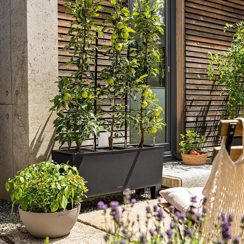 le_trio-stone40_product_addi_01